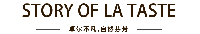 LETOU - 乐投(中文)官方网站